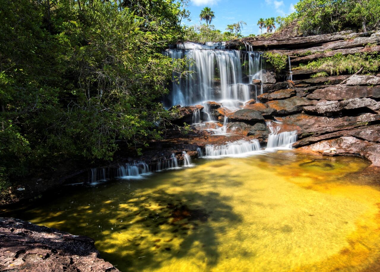A través de actividades de promoción y divulgación se busca atraer 4.000 visitantes a Caño Cristales en 2021.