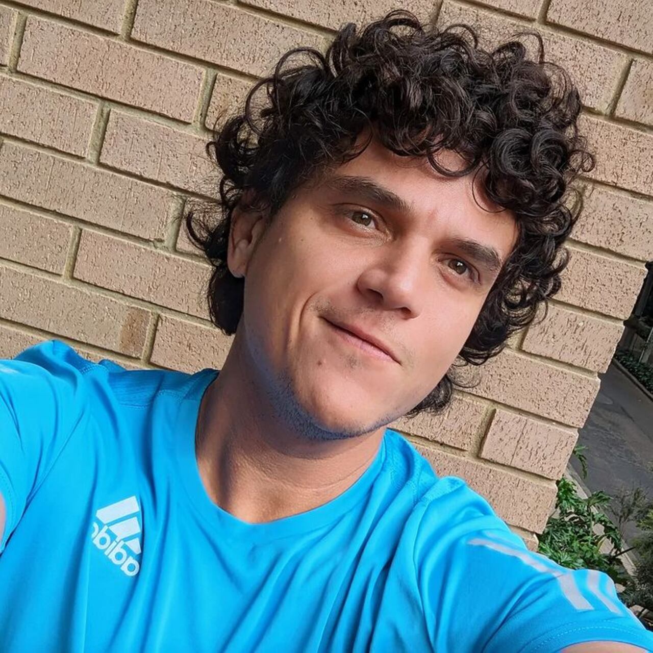 Silveste Dangond