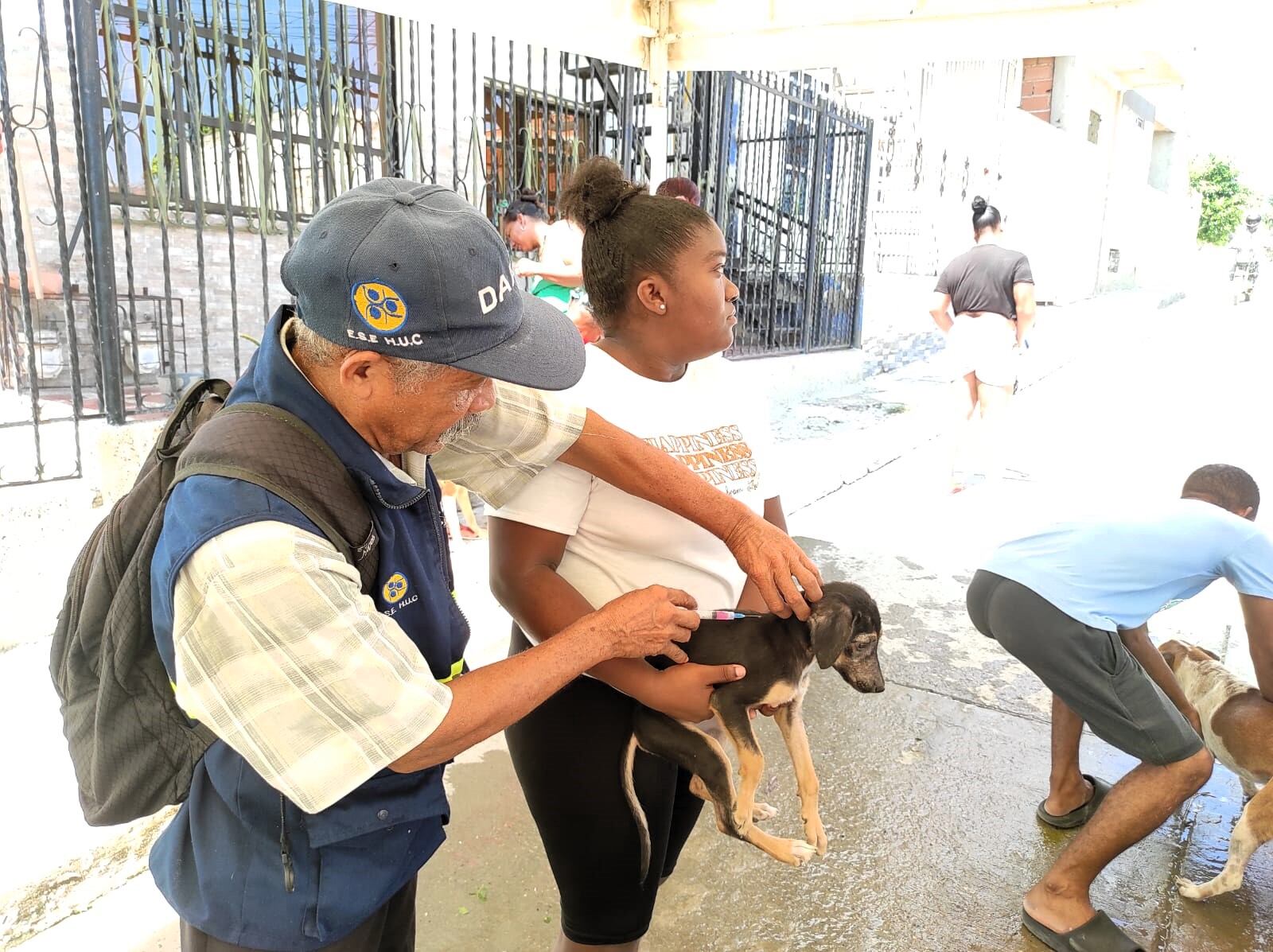 Jornada de vacunación canina y felina en Cartagena