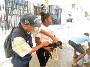 Jornada de vacunación canina y felina en Cartagena