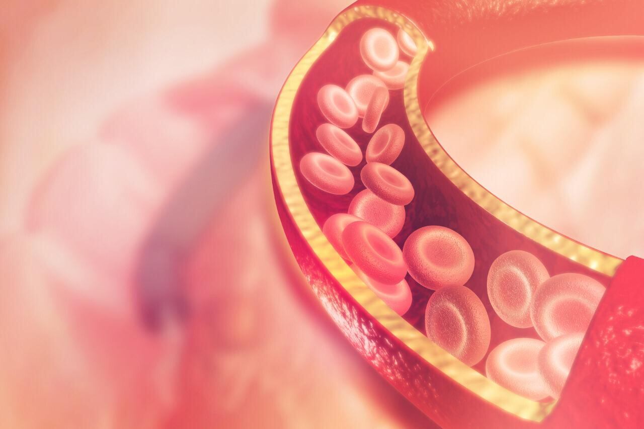 torrente sanguíneo.