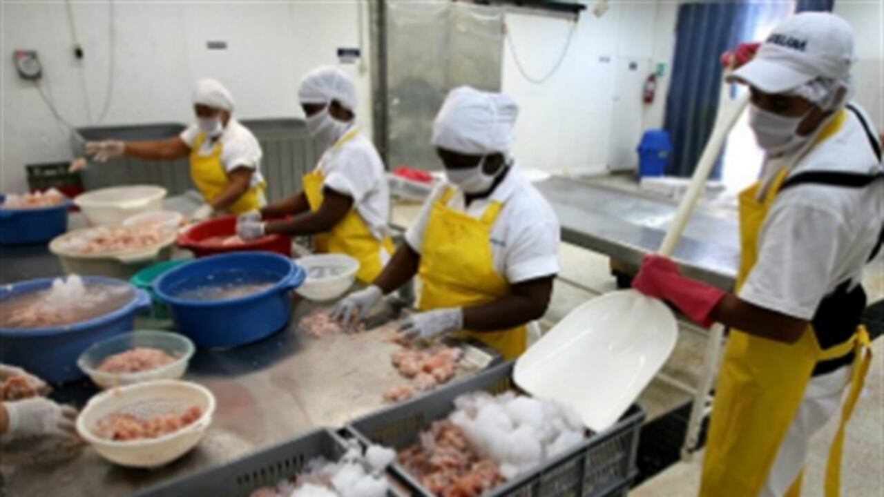 Bancóldex, a través de la "Línea de crédito Bancóldex para las empresas del Archipiélago de San Andrés” financia sus necesidades de inversión.