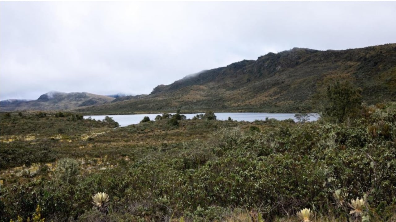 El Fondo Verde para el Clima dona $145 mil millones de pesos para proteger el agua de Bogotá.