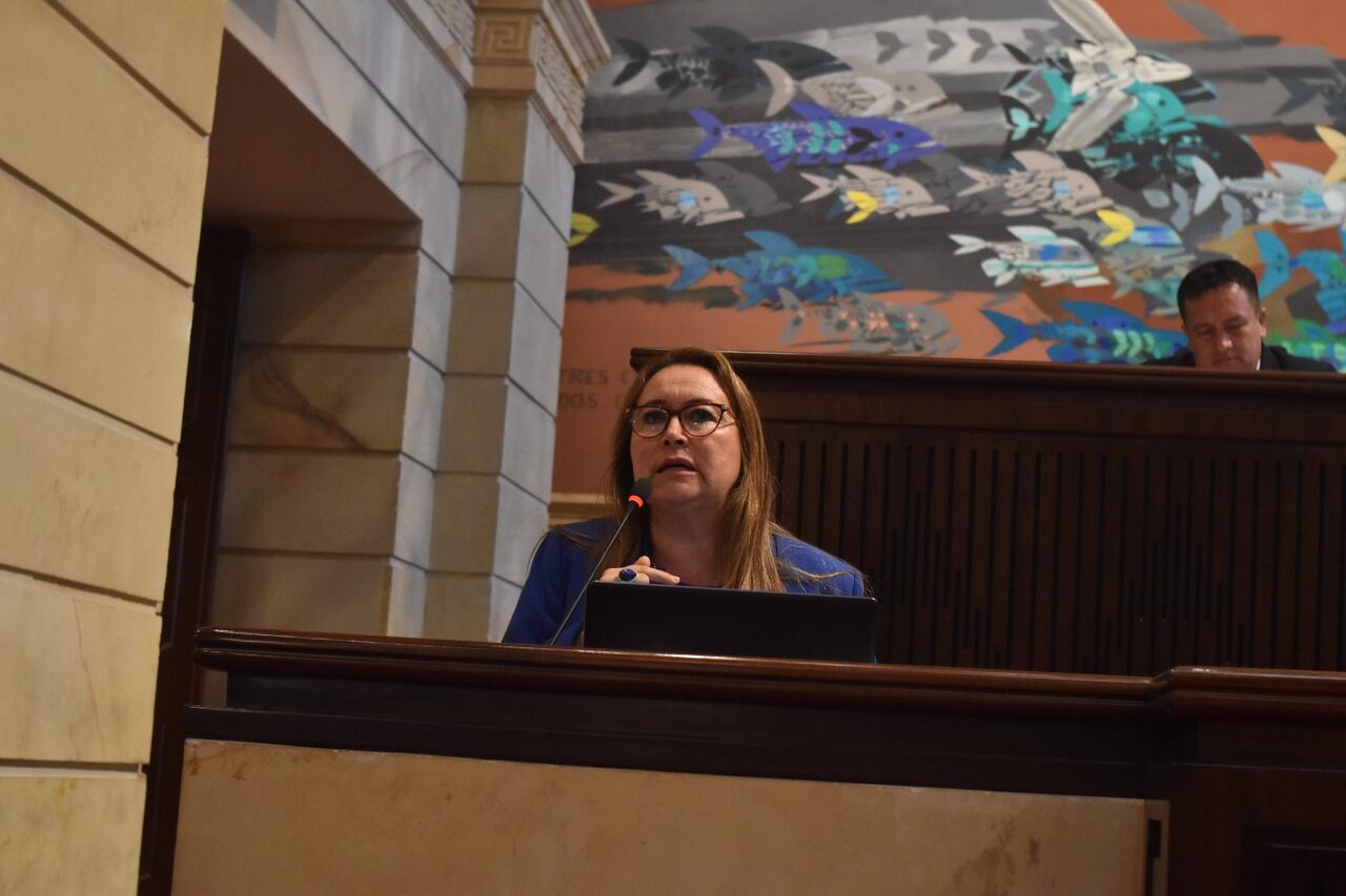 Sofía Espinosa, Presidenta Nacional de Unión Nacional de Empleados Bancarios UNEB Colombia.