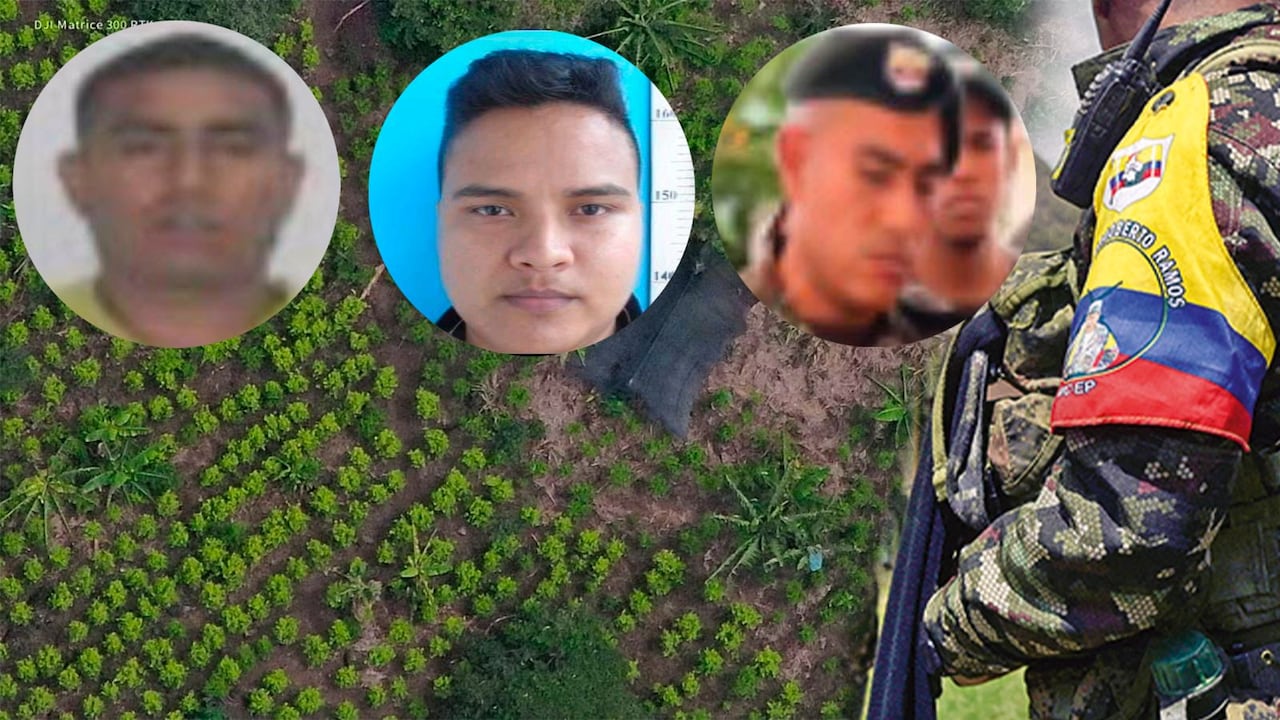 Nueva guerra de las disidencias de las Farc en Nariño