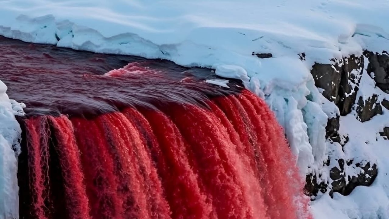 El fenómeno fue observado por primera vez a inicios del siglo XX, sin una explicación clara.