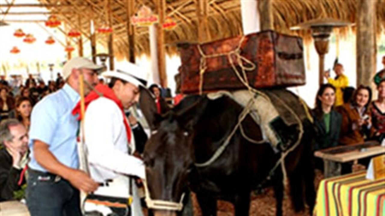 Dentro de las actividades planeadas para los próximos meses está la de continuar con el proyecto Panaca Viajero, para llevar una pequeña muestra del parque a ciudades donde la gente no lo conoce y motivarla a visitar el lugar.