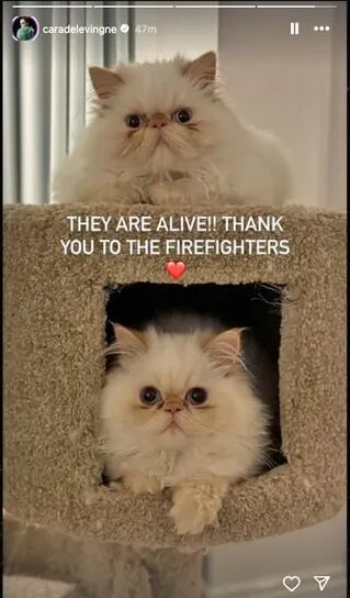 Foto: Captura de pantalla / Instagram