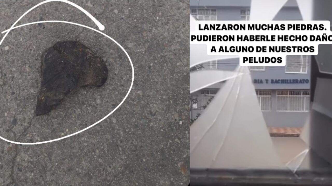 La directora de la fundación Doggyinhome fue enfática en señalar que a pesar de las llamadas insistentes nadie respondió y ningún oficial del sector de Engativá llegó.