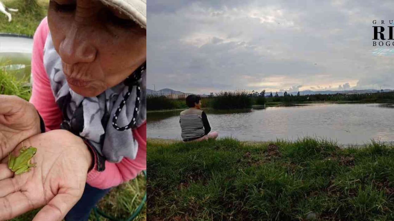 Tina Fresneda es la defensora número uno del humedal Tibanica, uno de los más afectados por los incendios forestales. Foto: archivo Tina Fresneda.