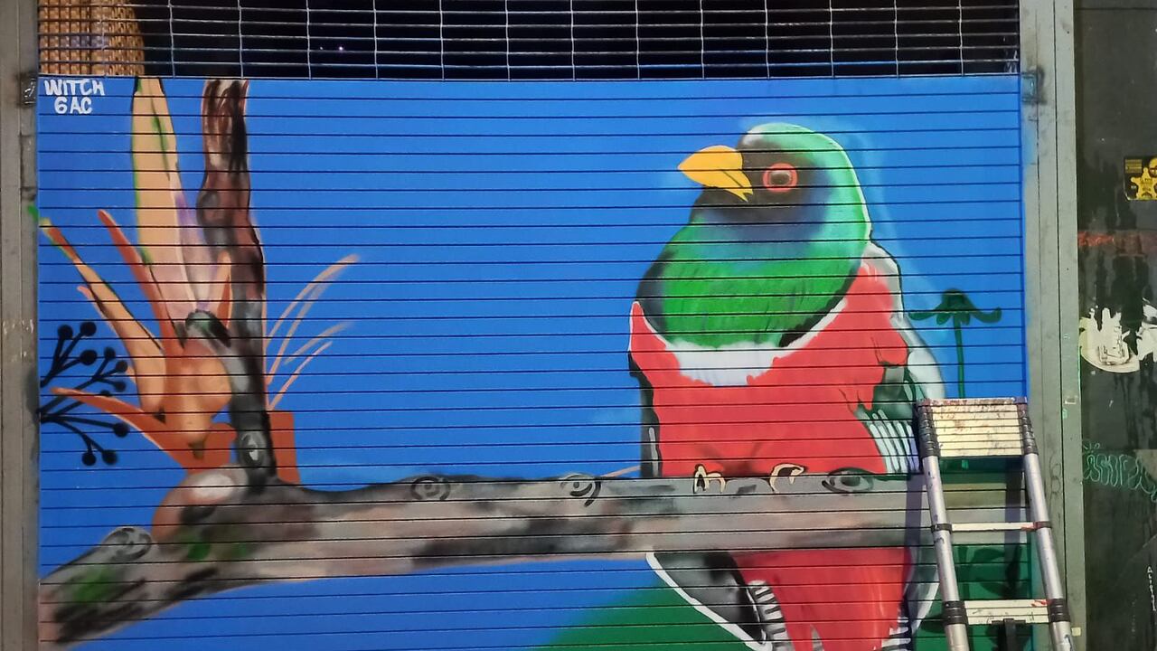 La Candelaria le apuesta al grafiti sostenible, una galería abierta.