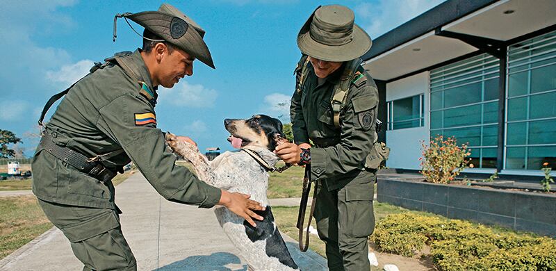 La Policía bautizó Oto al antiguo perro de Otoniel.