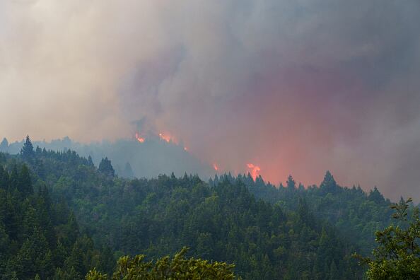 Incendio bosque Argentina diciembre 2021