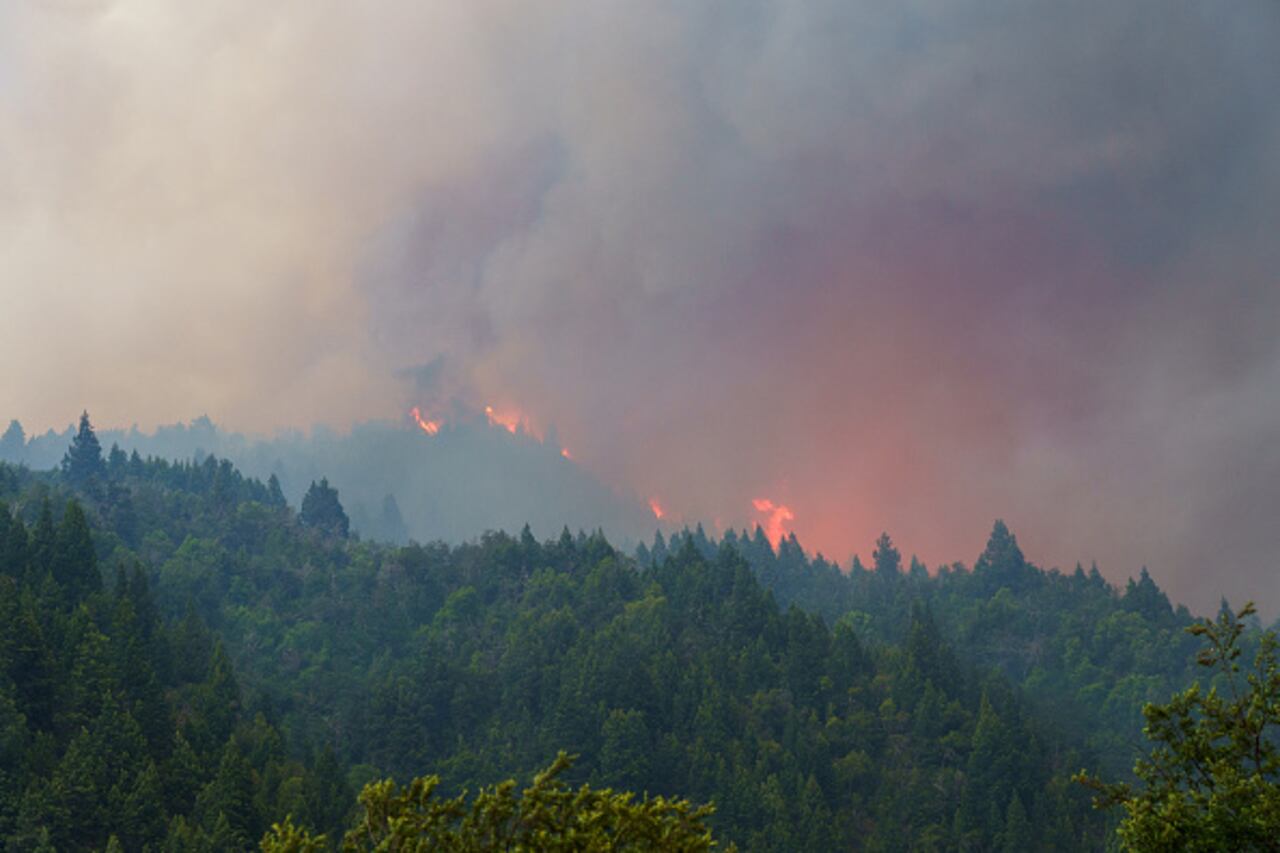 Incendio bosque Argentina diciembre 2021
