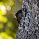 Niña en Zanzíbar, Tanzania, el 13 de febrero de 2009