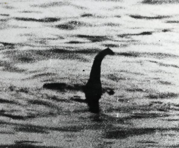 La presencia de un monstruo en el 'Loch Ness' es una leyenda que se remonta a la antigüedad: existen piedras talladas, realizadas por los pictos (tribus celtas) que vivían entonces en la región, en las que hay representada una misteriosa bestia con aletas.