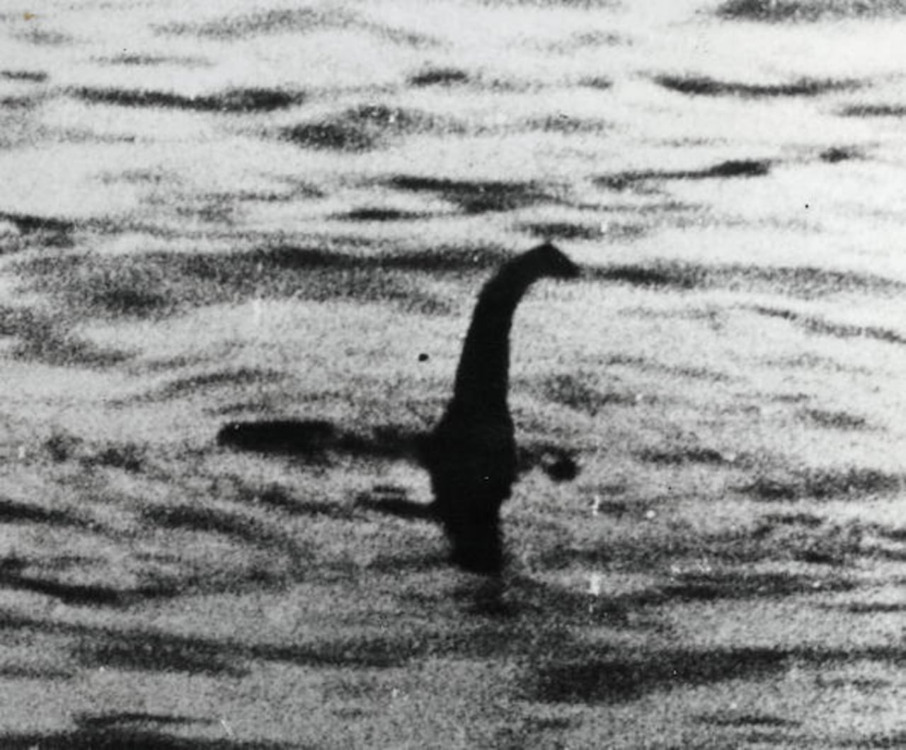 La presencia de un monstruo en el 'Loch Ness' es una leyenda que se remonta a la antigüedad: existen piedras talladas, realizadas por los pictos (tribus celtas) que vivían entonces en la región, en las que hay representada una misteriosa bestia con aletas.