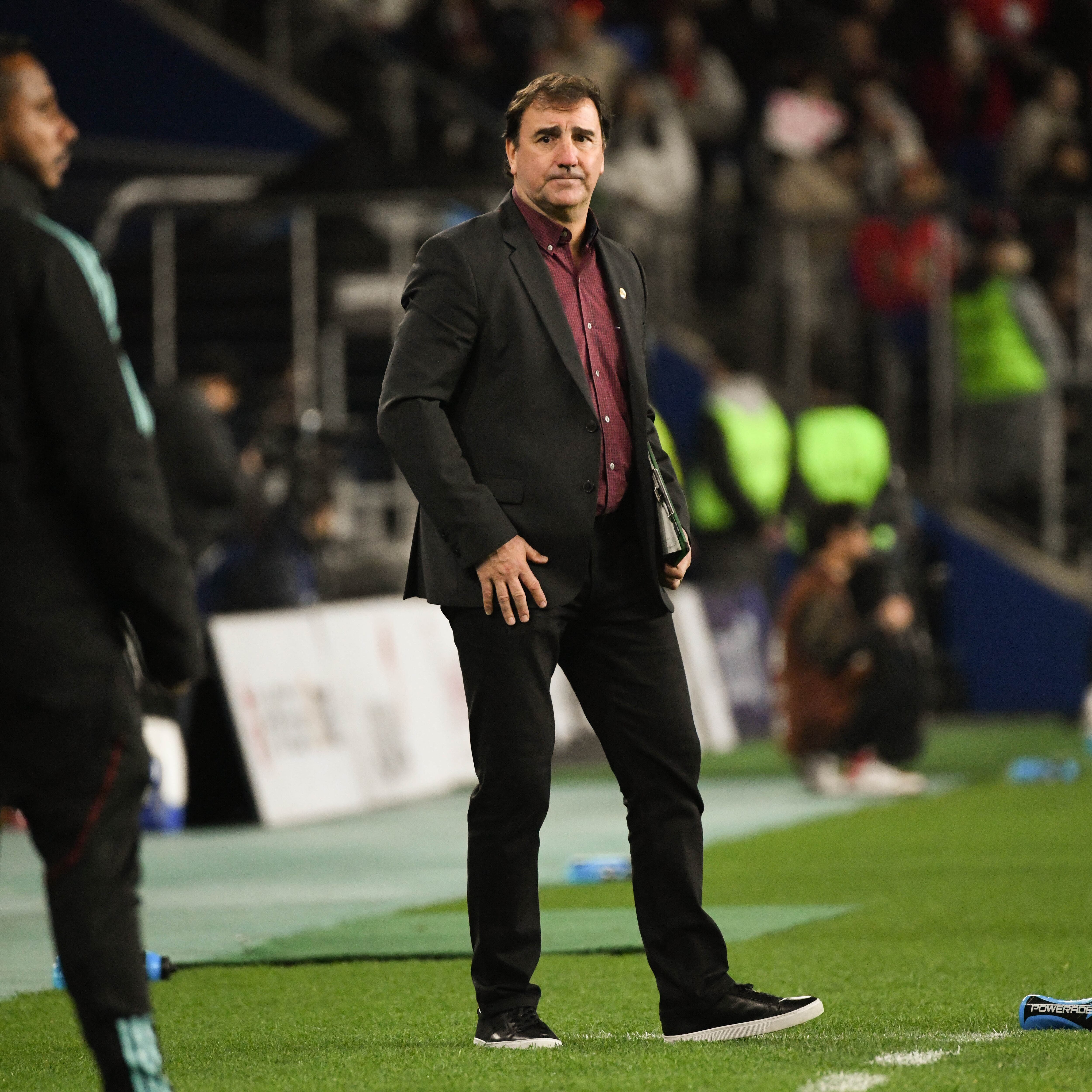 Néstor Lorenzo, director técnico de la Selección Colombia de mayores