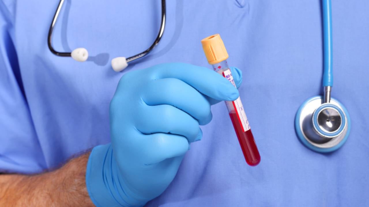 Los grupos sanguíneos son un sistema de clasificación de la sangre humana. Foto:GettyImages.