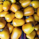 Se considera a la cocona como una fruta exótica de Suramérica.