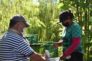 Ana María ha fortalecido sus conocimientos técnicos y los comparte con personas en su vereda Foto: WFP