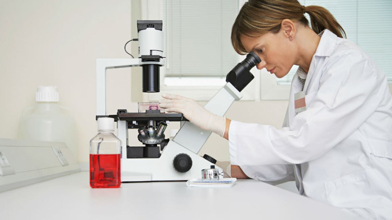 Las becas buscan incrementar el número de profesionales con formación avanzada. Foto: INGIMAGE