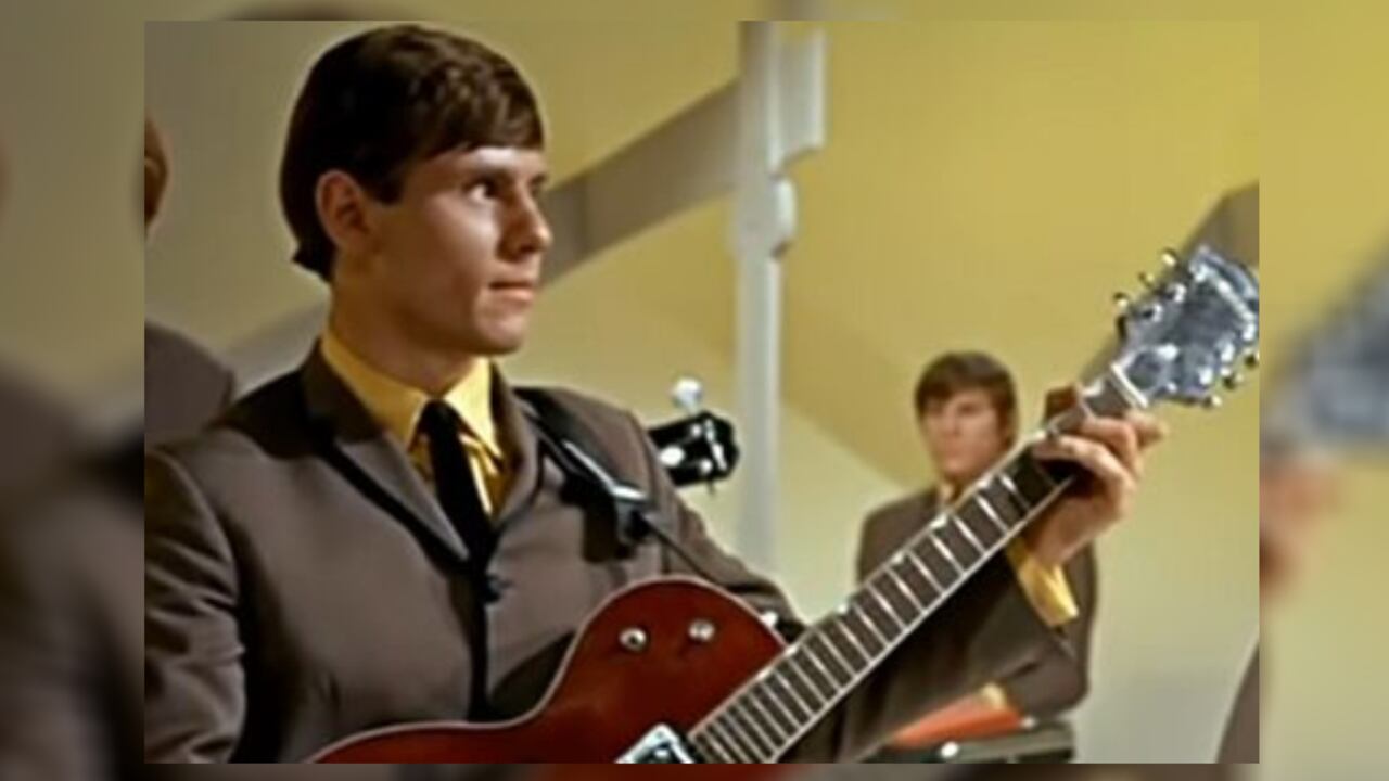 Guitarrista The Animals