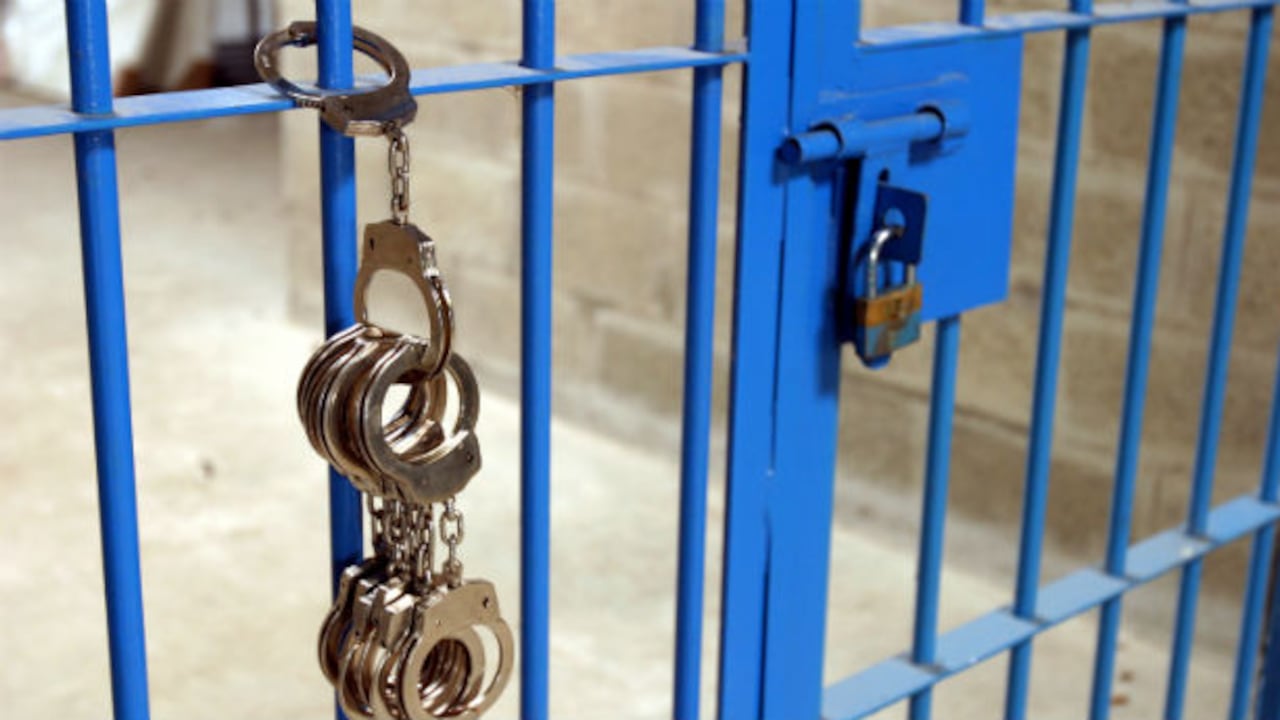 De las 11.773 capturas totales en lo corrido del año, 1.834 corresponden a venezolanos, es decir, un 15,5 % del total de capturados.