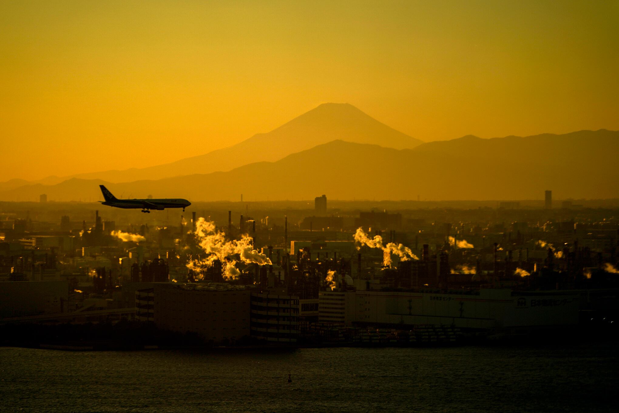 Fotos de la semana 13 enero