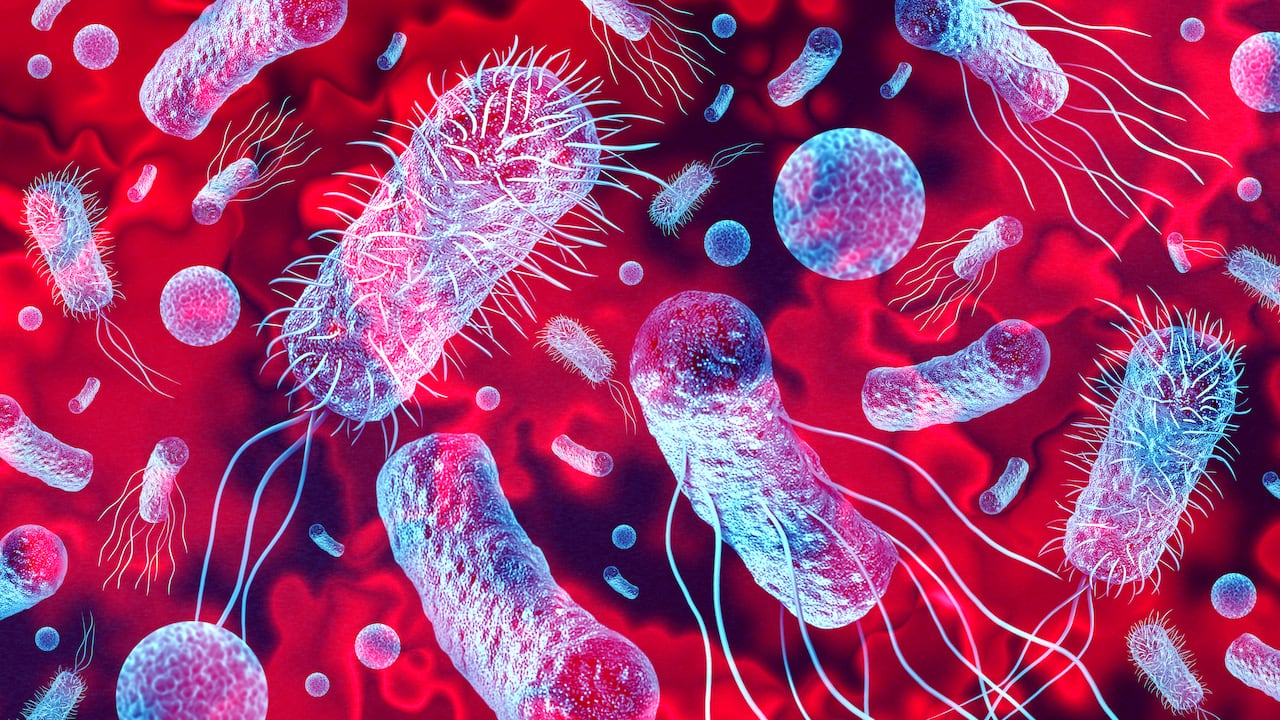 Listeria monocytogenes es conocida por su capacidad para sobrevivir a temperaturas de refrigeración y crecer en entornos fríos.