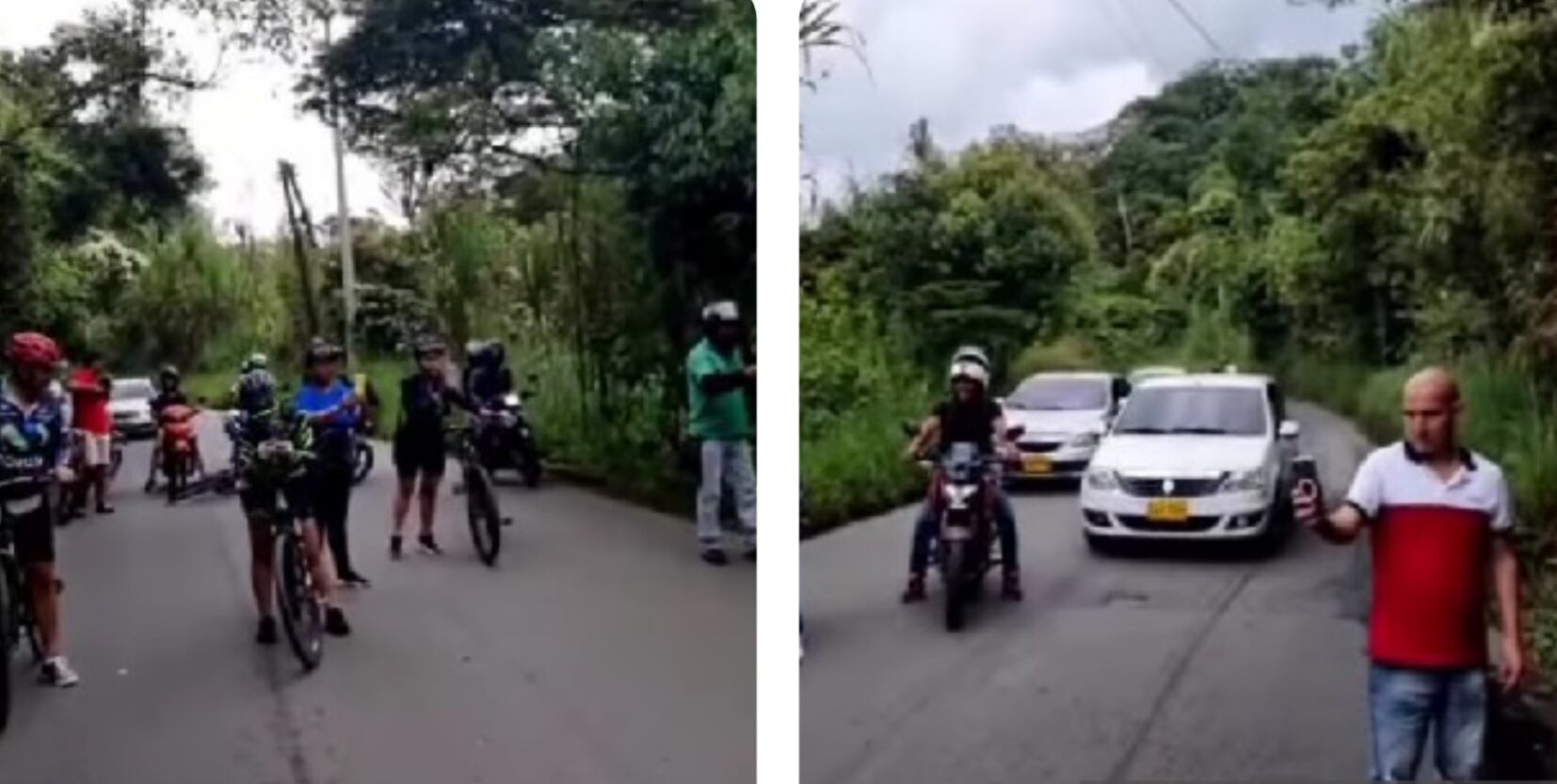 Serpiente paralizó el tráfico en una concurrida vía del sur de Cali, ¿de dónde salió este animal?