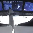 En esta imagen tomada del video de la NASA, se ve a los astronautas en la cabina de la nave espacial SpaceX Crew Dragon después de despegar para la misión Crew-2 desde el Complejo de Lanzamiento 39A, el viernes 23 de abril de 2021, en el Centro Espacial Kennedy en Cabo Cañaveral. Fla. Foto: NASA vía AP