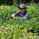 En reconocimiento al evento global más importante realizado en la historia de Cali, el ecoparque ubicado en Pance fue renombrado como Parque de la Biodiversidad COP16. Fotos Raúl Palacios / El Pais.