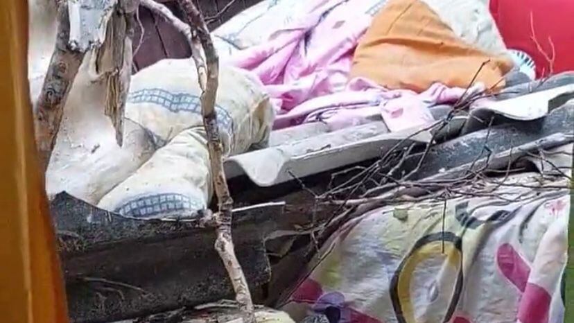 El árbol cayó sobre la habitación de una vivienda.