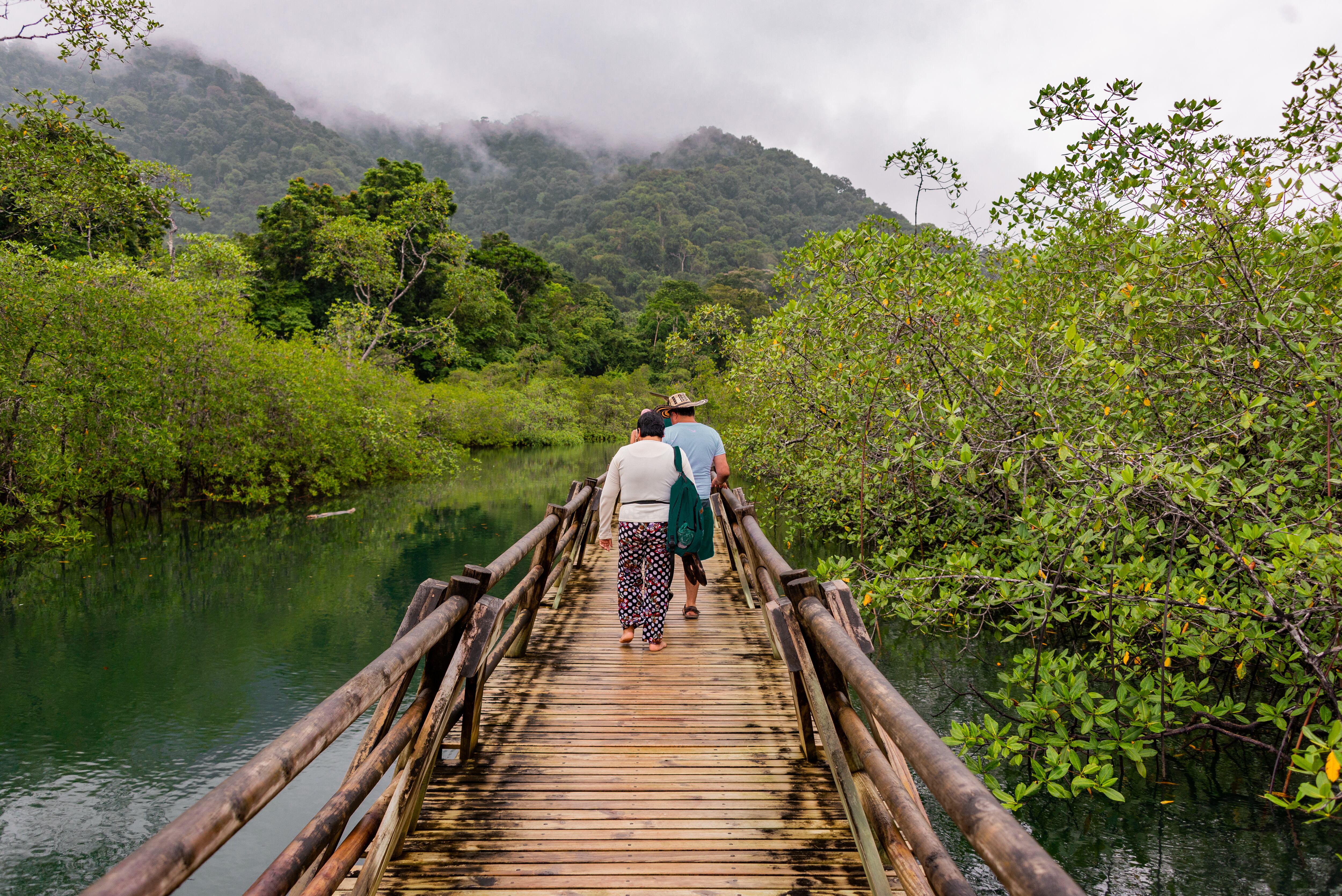 En el Parque Nacional Utría usualmente el clima es templado y se puede disfrutar de distintas experiencias por sus playas y manglares.