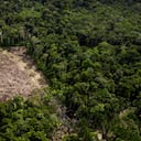 En los últimos dos años se han registrado los promedios anuales más elevados y ya no es posible evitar que el aumento supere el umbral de 1,5 grados para 2030.