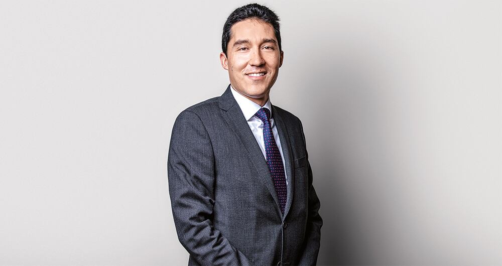 luis fernando mejía Director de Fedesarrollo