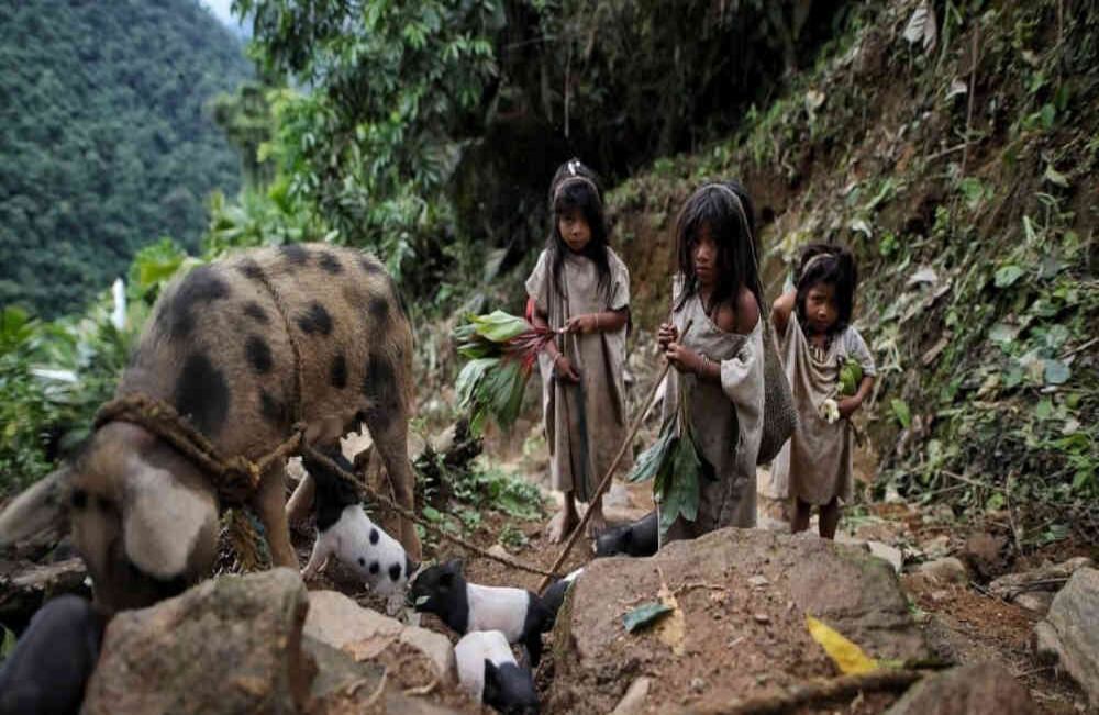 Niños  de la comunidad indígena  kogui en Ciudad Perdida - Magdalena - Foto: Esteban Vega La-Rotta /SEMANA