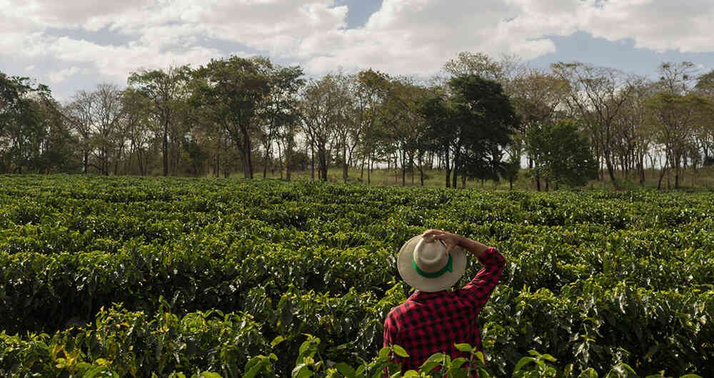 Ricardo Sabogal Urrego, Director de la Unidad de Restitución de Tierras.