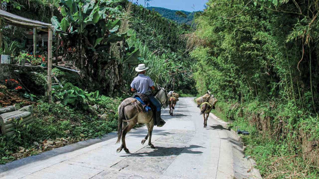 El Urabá antioqueño tenía una red vial terciaria de 8,3 kilómetros. Hoy es de 58,3 kilómetros. Los habitantes de la vereda La Cabaña fueron algunos de los beneficiados.