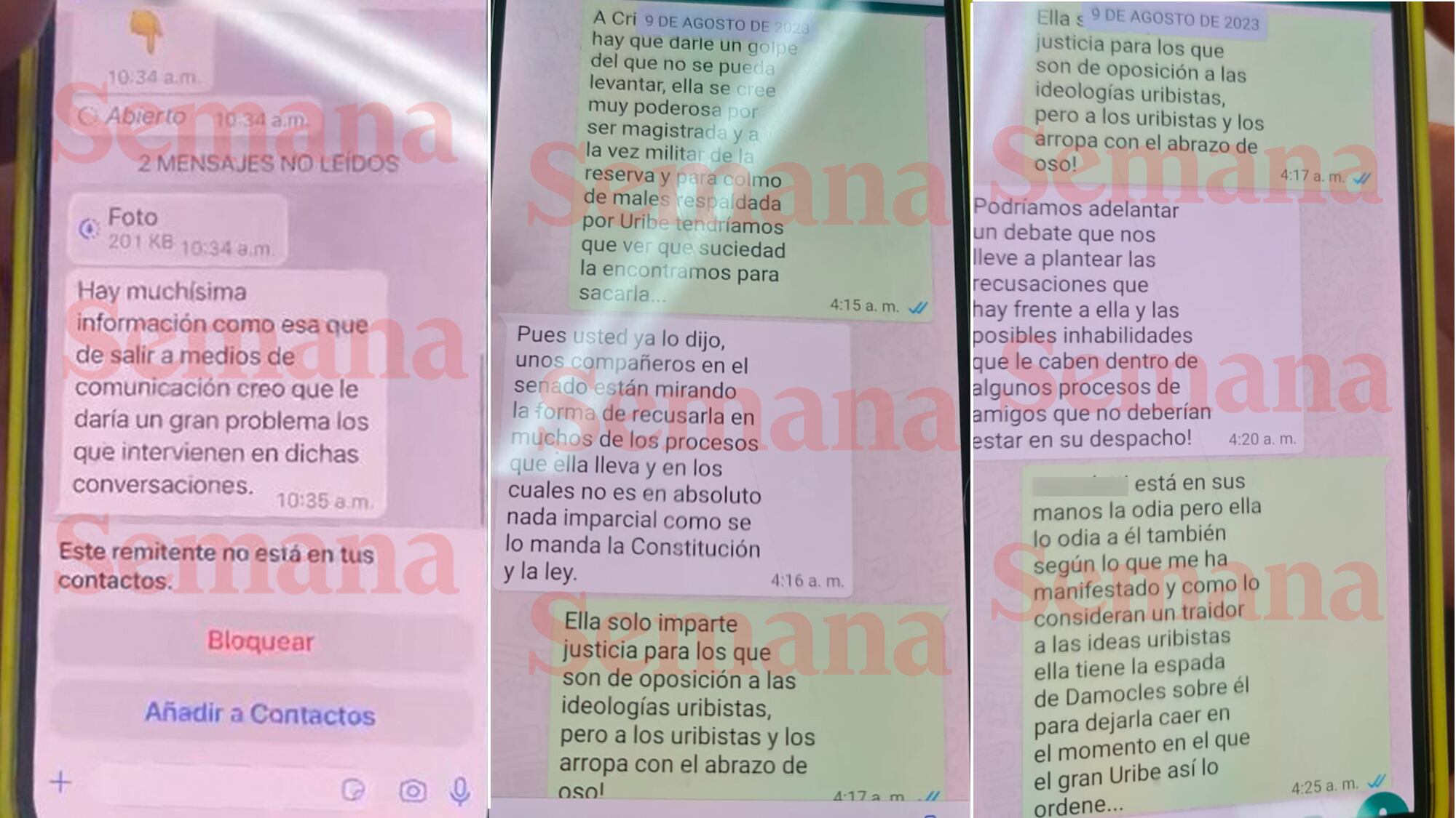 Cristina Lombana, Chats