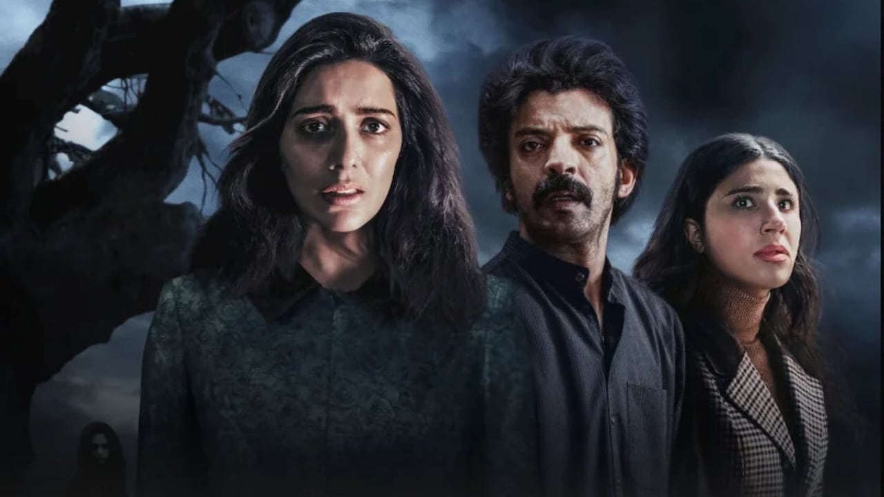 El alma intranquila, miniserie de Netflix