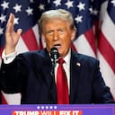 Republican presidential nominee former President Donald Trump speaks at an election night watch party, Wednesday, Nov. 6, 2024, in West Palm Beach, Fla. (AP Photo/Alex Brandon)