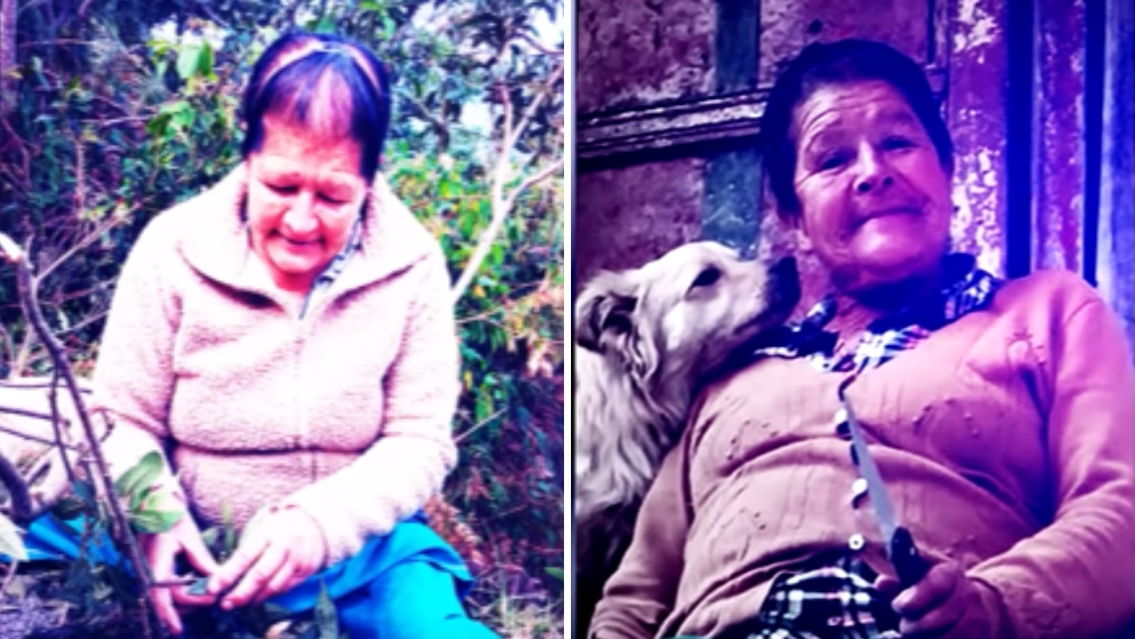 La familia continúa sin saber quién atacó a su madre.