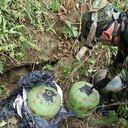 El ELN pretendía afectar a la Fuerza Pública.