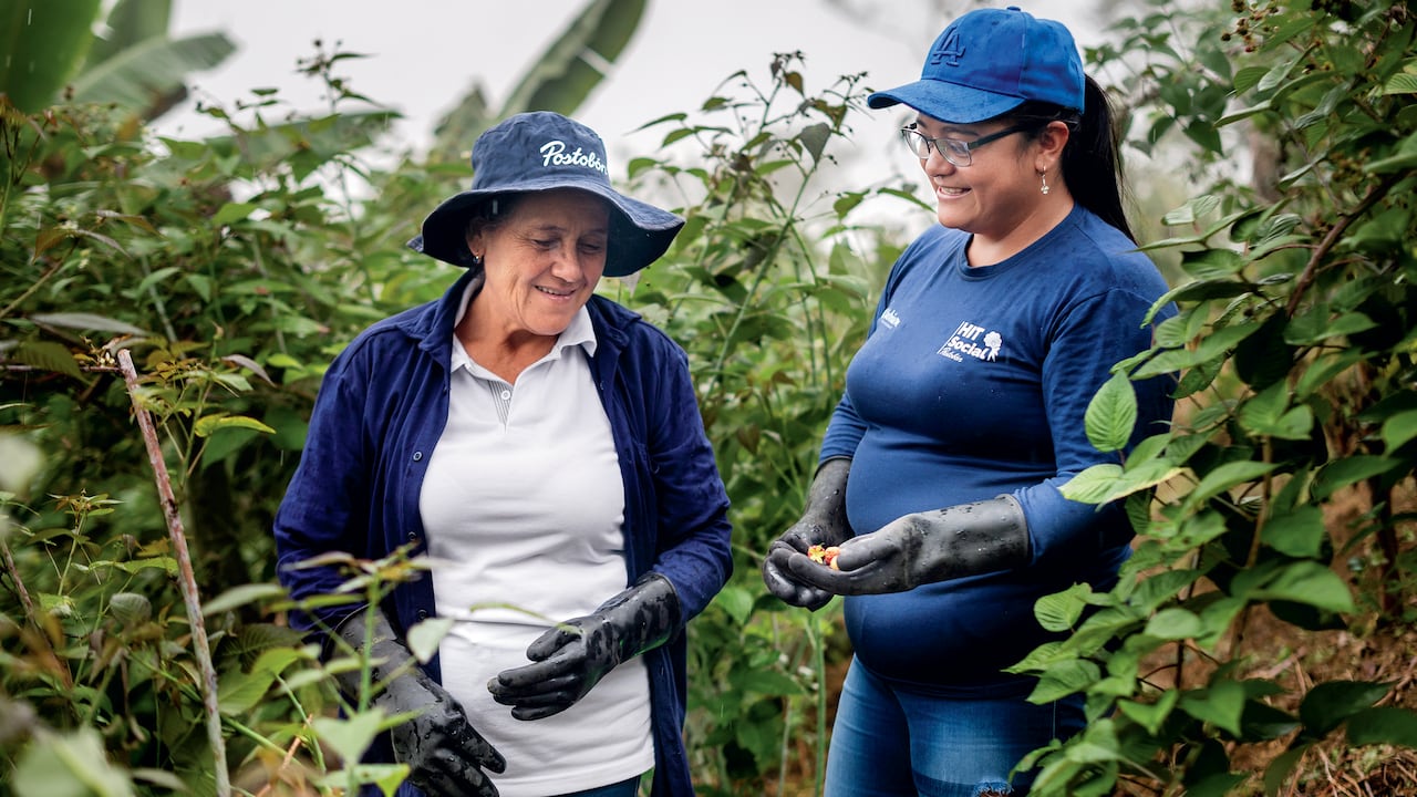 Especial Líderes de Sostenibilidad, Contenido Postobón, Un propósito superior