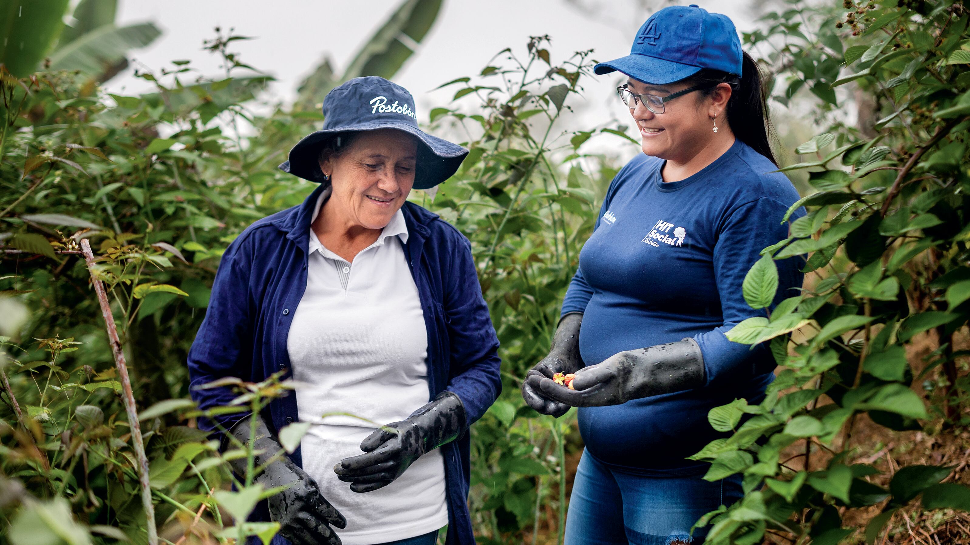 Especial Líderes de Sostenibilidad, Contenido Postobón, Un propósito superior