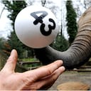 Sweni, un elefante del zoológico de Wuppertal, al oeste de Alemania, sostiene con su trompa uno de los números ganadores de la Lotería Estatal Alemana, la cual entregará al ganador de la combinación correcta el premio mayor de 43 millones de euros, (63 millones de dólares), el más alto que pagaría la lotería en su historia. El sábado se esperaba un ganador al que se le entregaría 38 millones de euros, con lo cual se habría roto otro registro histórico de la lotería estatal, pero nadie acertó a la combinación de seis números. Desde 1955 se realiza este sorteo. El ganador recibirá un premio libre de impuestos y sólo tiene que pagar los intereses si invierte el dinero.