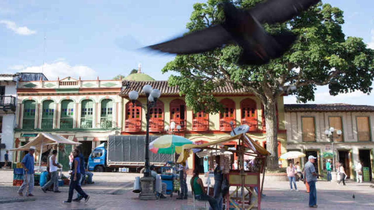 El documental de Catalina Mesa es un homenaje a su abuela y un retrato de las mujeres de su generación en Jericó, guiadas siempre por una sabiduría infinita y los valores que mantienen como un tesoro.