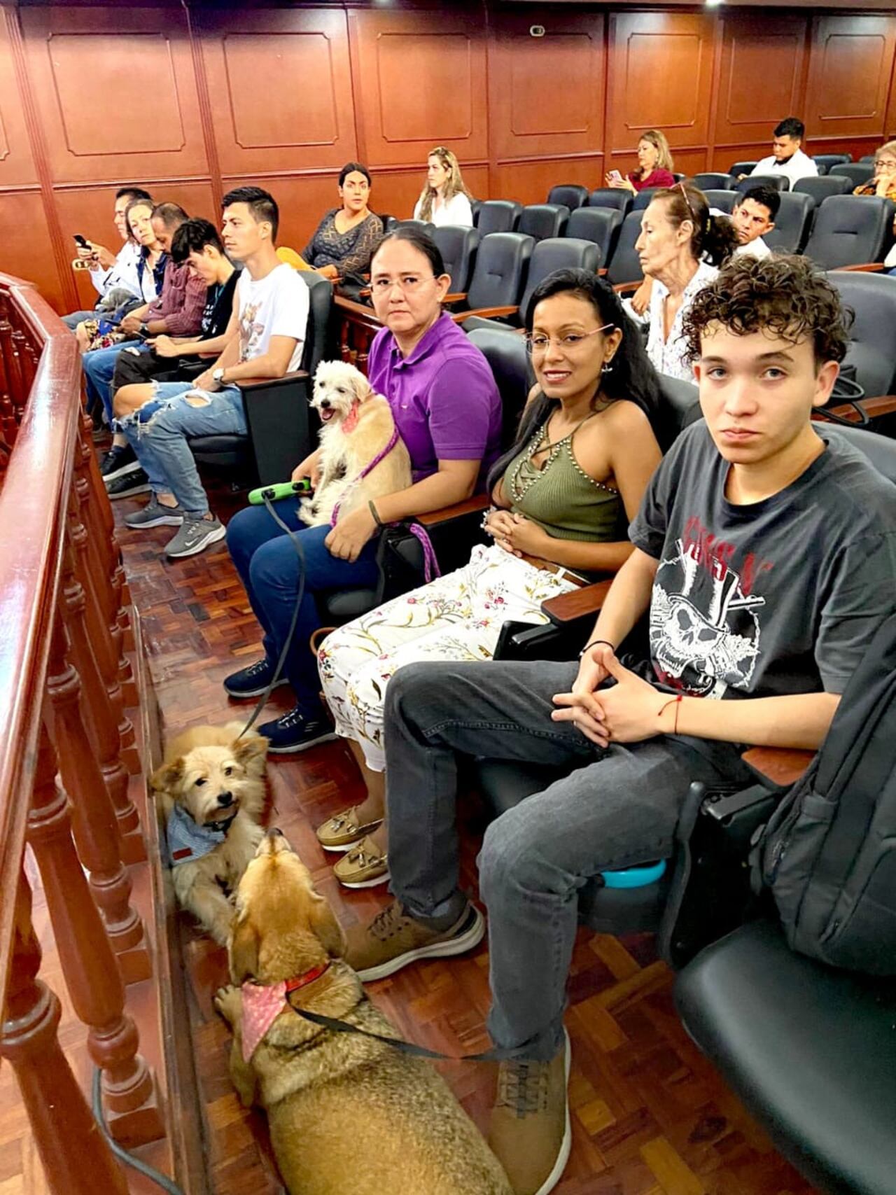 Política Pública de Protección y Bienestar Animal fue aprobada en el Valle del Cauca.